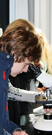 Elev der kigger i mikroskop