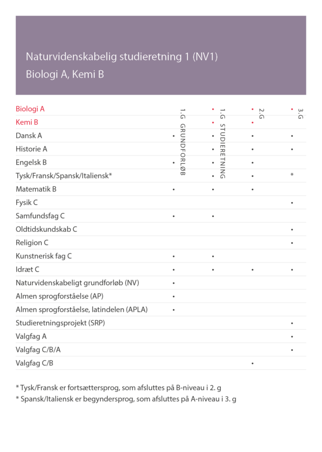 Skema over fag for naturvidenskabelig studieretning 1