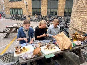 Piger renser svampe på Klimahandledagen 2026 på Gefion Gymnasium