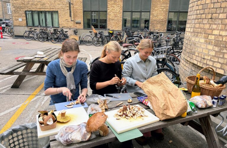 Piger renser svampe på Klimahandledagen 2026 på Gefion Gymnasium