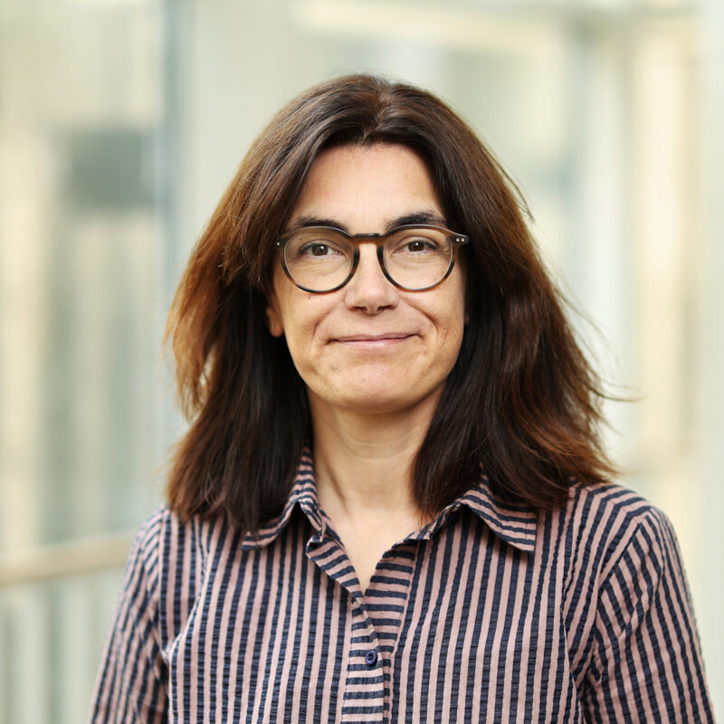 Louise Westmark_Personale