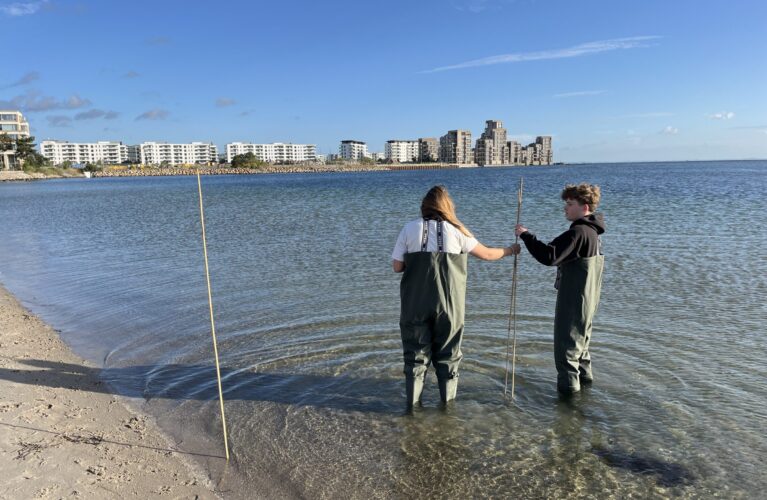 To elever er iført vaders og står i vandet på en strand med tre lange bambuspinde og med bygninger i bagggrund.